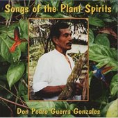 Songs of the Plant Spirits