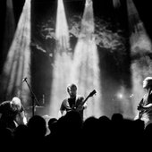 Process Of Guilt (Por) - live band.jpg