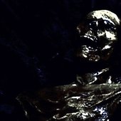 Nights of Fear