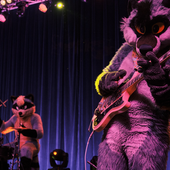 imtmp live