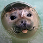 LastFM profile picture for @cis
