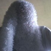 The Faceless