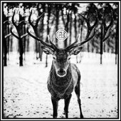 Vom Waldläufer zum Champ EP