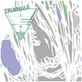 Avatar for triangle-head