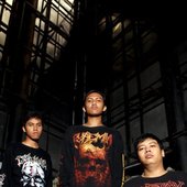 1352115856_PUREGATION..jpg