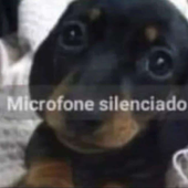 Avatar di RabelIo