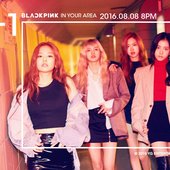 BLACKPINK IN YOUR AREA