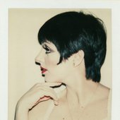 liza by warhols