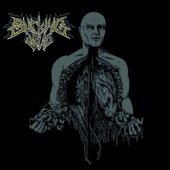 VEGETATIVE STATE OF CHAOS