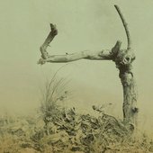 Fragmented Lives