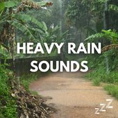 Loud Rain Sounds for Deep Sleep