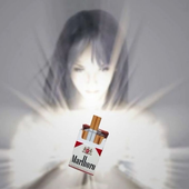 Avatar für milkisaurus