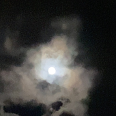 aftermoondog 的头像