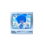 Capture.PNG
