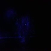 Luminol Nights