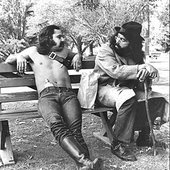 265px-Cheech_and_Chong_1972.jpeg