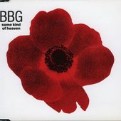 BBG maxi-single sleeve...