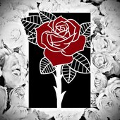Brief History (New Orleans, Louisiana), Bandcamp art