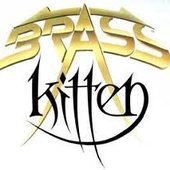 Brass Kitten Art
