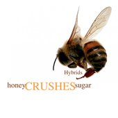 Hybrids
