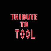 Tribute To Tool