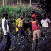 Wailing Souls