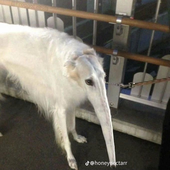 m1lkdrinker 的头像
