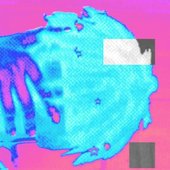 XNXX.jpg