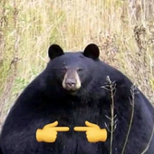 nicinicolas 的头像