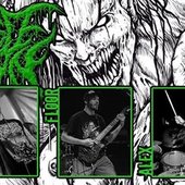full new lineup