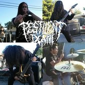 Pestilent Death