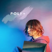 POLY-MIRROR-Temp.jpg