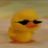 Avatar for RiritheDuckie