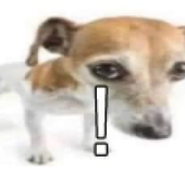 tooter9 的头像