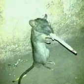 tAkEmEoNn 的头像