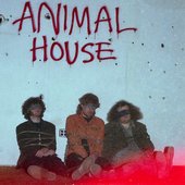 Toeheads-Animal-House.jpg