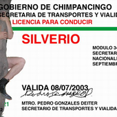 Licencia para conducir