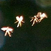 Avatar for catch0