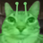 Tomachii 的头像