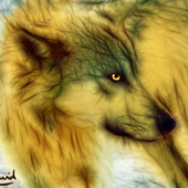 Avatar de NairWolf