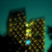 I Wish You Was a Star