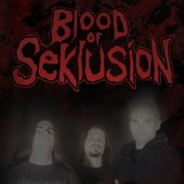 Blood of Seklusion