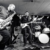 gorillaband.jpg