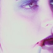 she-beast-press-2-by-milkdrop-studio.jpg