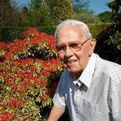 noelrawsthorne1.jpg