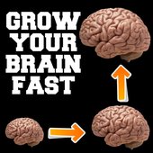 Grow Your Brain Fast
