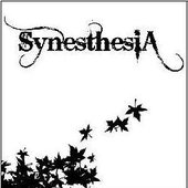 http://www.synesthesiaweb.com.ar/