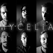 The Faces of Mycelia