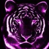 purpletigerlove için avatar