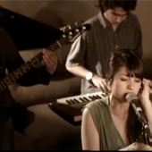 Alligator, banda colombiana de soul
